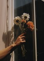 product-compare-59366787