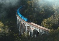 FOTOTAPETA widok las we mgle pociąg droga 350x245