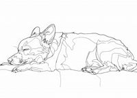 product-compare-59424952