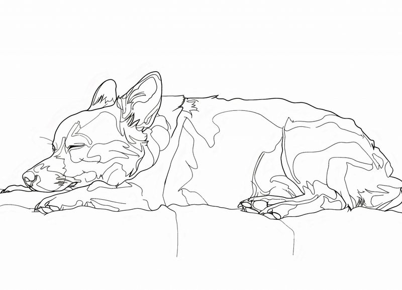 Plakat 18x13cm Śpiący Psiak zdjęcie 1