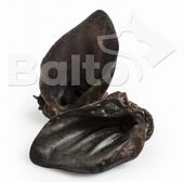 Balto Ucho Dzika 1Szt