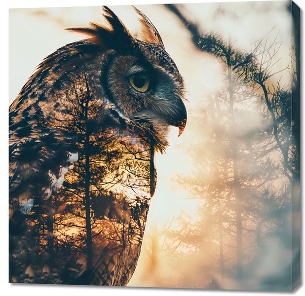 Obraz 90x90cm Sowi Duch zdjęcie 1