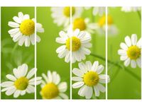 product-compare-58698379