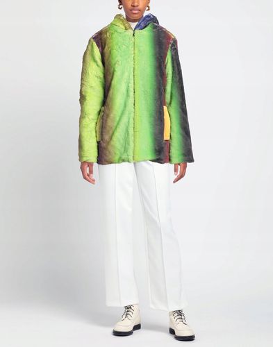 AGR Teddy Coats M na Arena.pl