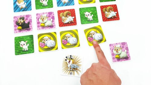 Gra Owce na manowce na Arena.pl