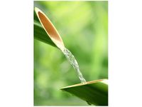 50X70CM SPA OBRAZ PION ŚCIAN