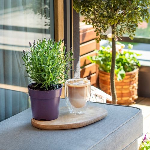 6X Szklanki Termiczne Do Kawy Latte Drinków 350ML Zestaw podwójne szkło na Arena.pl