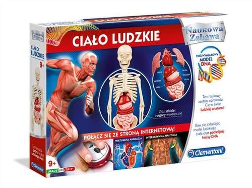 ciało ludzkie 2490 na Arena.pl