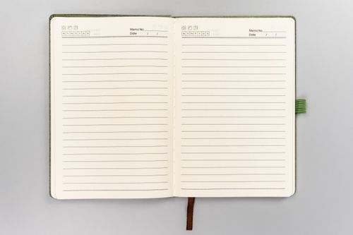 notes ptn not-6-6317 green na Arena.pl