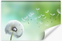 Fototapeta Ozdobna Roślina MNISZEK Nasiona 360cm x 240cm