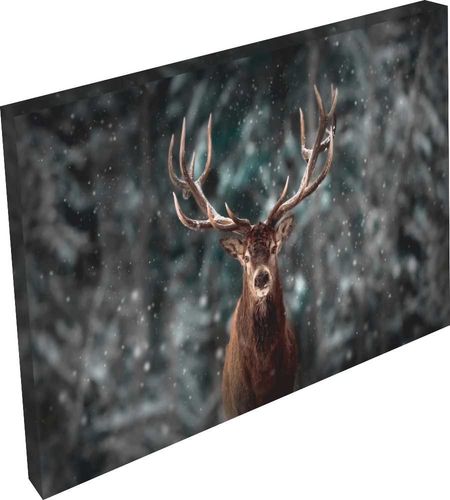 OBRAZ na płótnie zwierzęta głowa jelenia 120x80 na Arena.pl