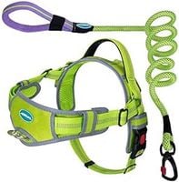 szelki dla psa ze smyczą odblaskowe regulacja xxl