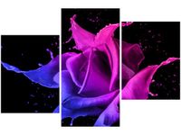 60 90CM OBRAZ 3 ELEM RÓŻA FARB JAKUB BANAŚ ŚCIENNY DRUK PŁÓTNO