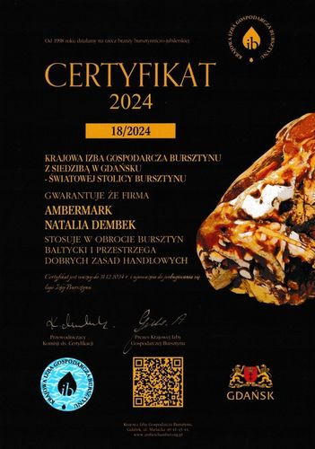 Wisiorek srebrny z bursztynem ZAWIESZKA ze srebra DELIKATNA OWAL FILM na Arena.pl