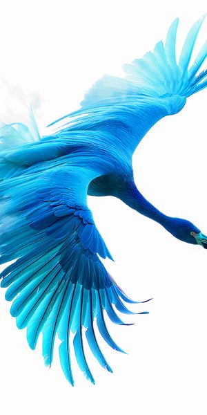 Plakat 50x100cm Błękitny Lot zdjęcie 1