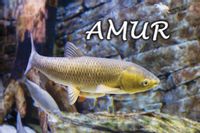 product-compare-52615351