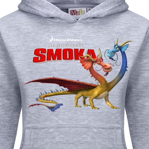 Dres Dziecięcy Jak wytresować smoka - How to train your dragon na Arena.pl