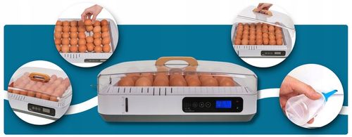 Inkubator Automatyczny do wylęgu 35 jaj Wylęgarka Klujnik do wylęgu Drobiu na Arena.pl