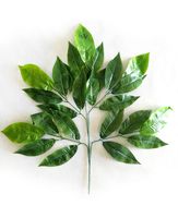 liście ozdobne pięcioramienny 12szt   S510-01 70cm