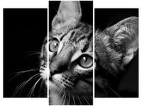 60 90CM OBRAZ 3 ELEM SPOJRZENIE VISUALPANIC ŚCIENNY DRUK PŁÓTNO