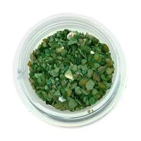 Płatki muszli kruszonej do paznokci ozdoby do hybrydy żelu CS39