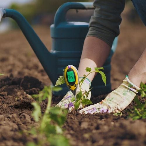 KWASOMIERZ MIERNIK TESTER OGRODNICZY PH GLEB ZIEMI na Arena.pl