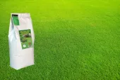 TRAWA SZYBKOROSNĄCA 5kg zagęszczająca odporna