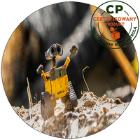 Opłatek na tort Wall-e