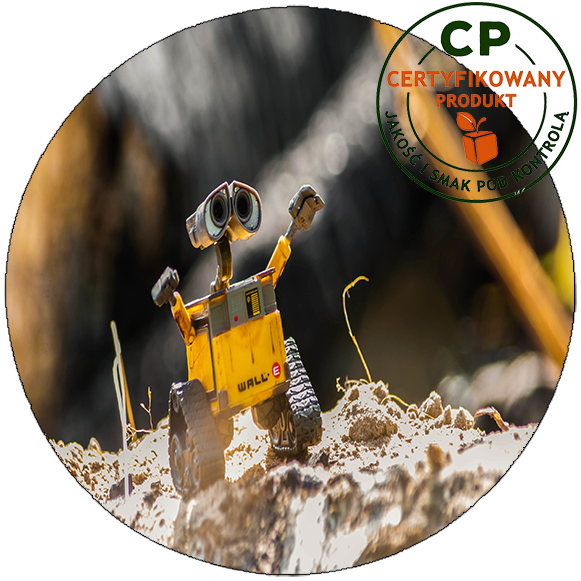 Opłatek na tort Wall-e zdjęcie 1
