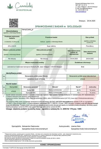 SUSZ KONOPNY CBD | AMNESIA HAZE | PREMIUM | 100g na Arena.pl
