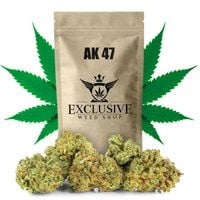 Susz konopny AK 47 CBD Exclusive Weed 100g