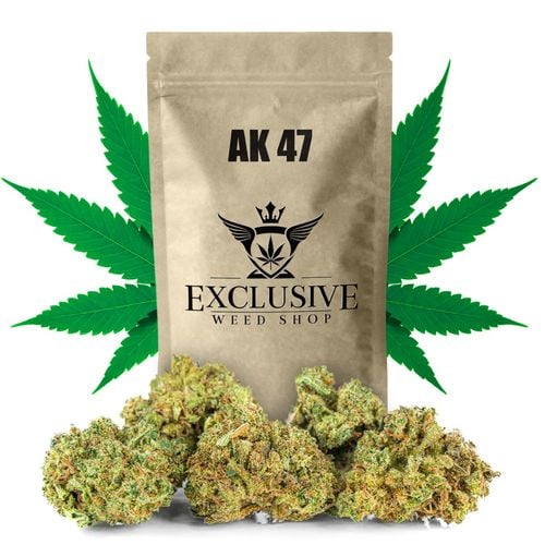 Susz konopny AK 47 CBD Exclusive Weed 5g na Arena.pl