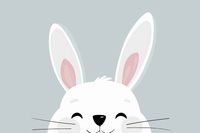 Plakat 60x40cm Radosne Skoki