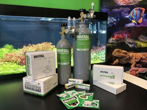 Zestaw CO2 Standard z wył. nocnym 5l z akcesoriami na Arena.pl