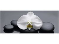 100X40CM BIAŁY STORCZYK OBRAZ DREWNO