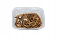 Drewnojad,drewnojady 500 ML