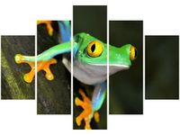 105CM 150CM OBRAZ 5 ELEM CHWYTNICA DRUK