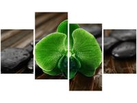 140CM 70 OBRAZ LIMONKOWY STORCZYK ŚCIENNY