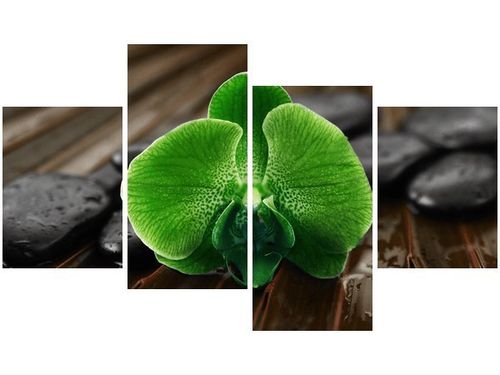 140CM 70 OBRAZ LIMONKOWY STORCZYK ŚCIENNY na Arena.pl