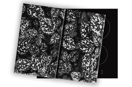SZKLANA DESKA NA KUCHENKĘ 2x30x52 013C MONO LIŚCIE na Arena.pl