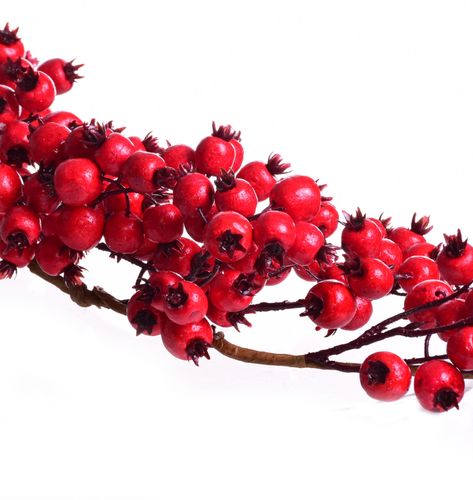 Girlanda głogu 165cm na Arena.pl