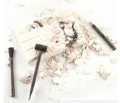 ZESTAW ARCHEOLOG WYKOPALISKA SKAMIELINY DINOZAUR SZKIELET T-REX + GRATIS na Arena.pl