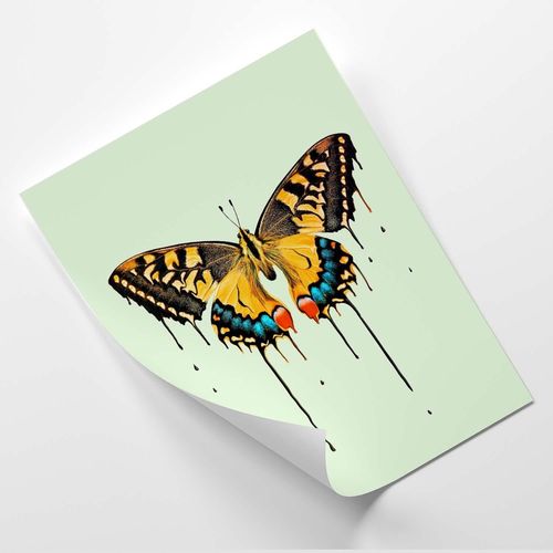 Plakat, Malowany motyl 40x60 na Arena.pl