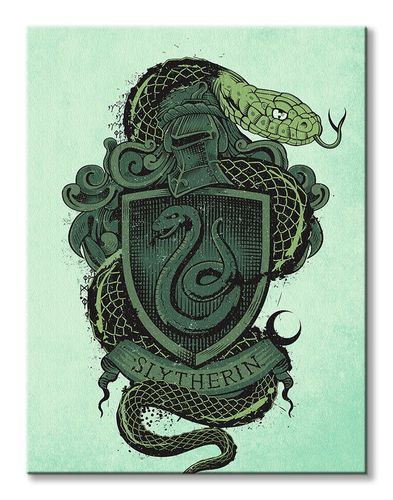 Harry Potter Slytherin - obraz na płótnie 60x80 cm na Arena.pl