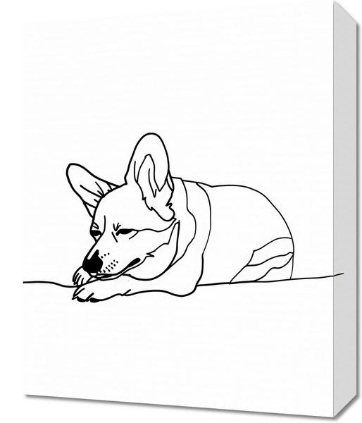 Obraz 40x50cm Śpiący Corgacz zdjęcie 1