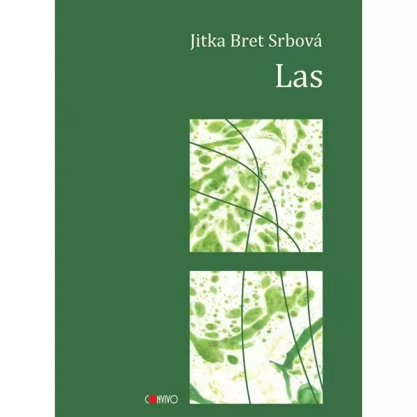 Las zdjęcie 1