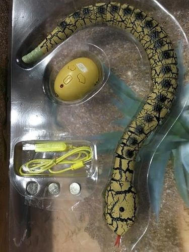 Wildroid Wąż na Arena.pl