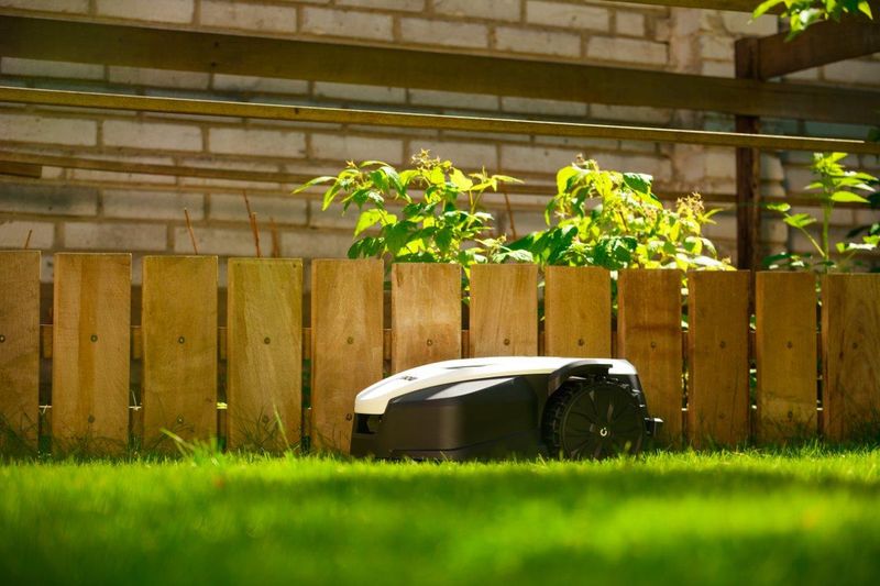 CEDRUS M6+ ROBOT KOSZĄCY KOSIARKA AUTOMATYCZNA DO TRAWY C-MOW 600m2 - OFICJALNY DYSTRYBUTOR - AUTORYZOWANY DEALER CEDRUS zdjęcie 66