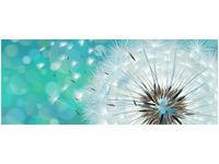 100CM 40CM OBRAZ ŚCIENNY PUSZYSTY DMUCHAWIEC DRUK