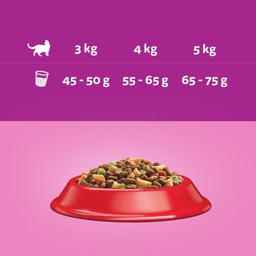 WHISKAS sucha karma dla kota z wołowiną 14 kg na Arena.pl